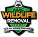 Houston Wildlife Removal